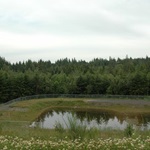 Hidden Ridge Retention Pond